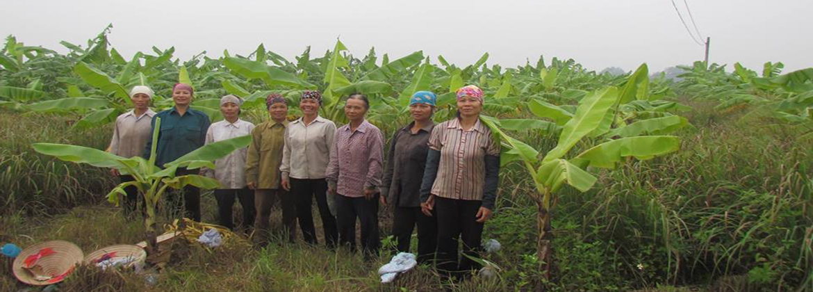 Farmer on field