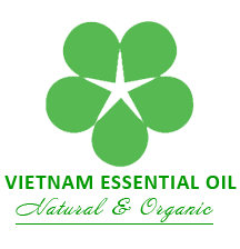  Vietnam Essential Oil