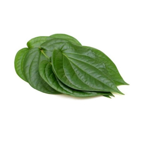 Betel Leaf Oil
