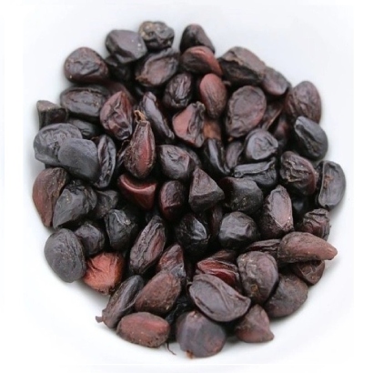 Michelia Tonkinensis Seed